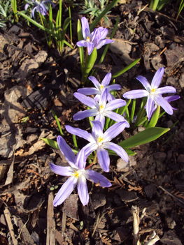 március2010 076