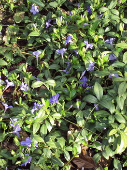 március2010 078