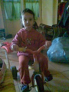 biciglis