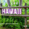 Hawai 1