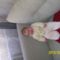 user_14489270_1268824609024_box