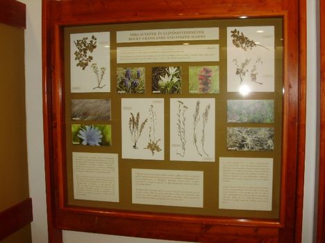 20100330 Mátra 384