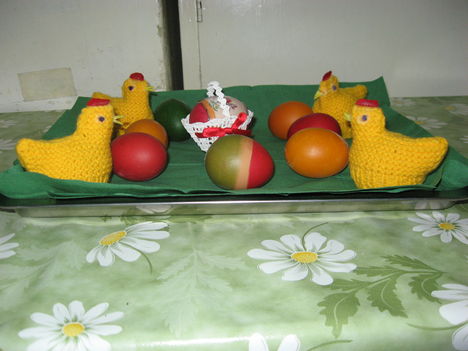 20100404_13