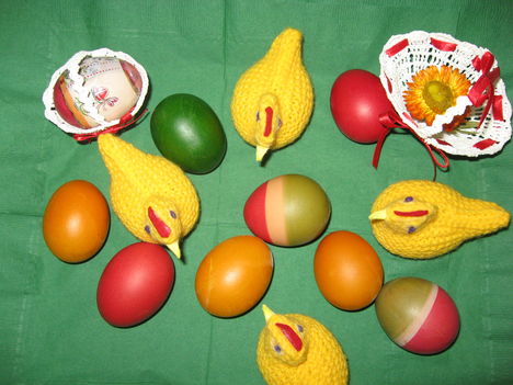 20100404_5