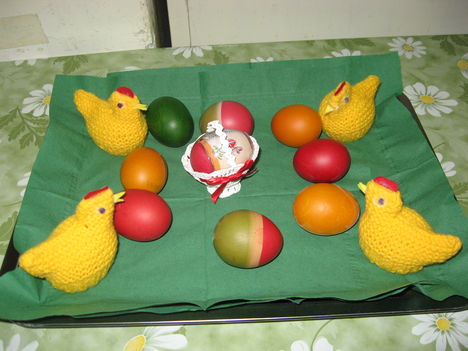 20100404_8