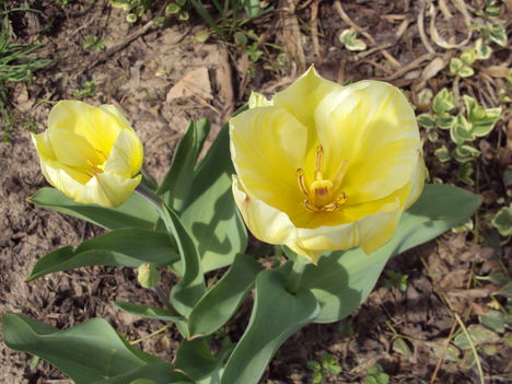április2010 001