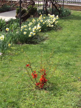 április2010 003