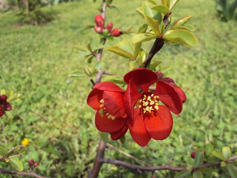 április2010 004