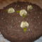 Kerek torta