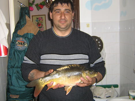a mai 2.5 kilos