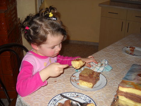 DSCN0092