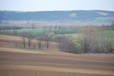 Ébredő határ