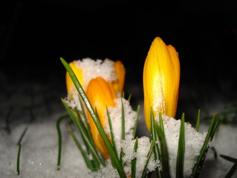 Kép 024