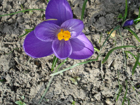 Kép 039