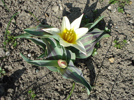 Kép 047