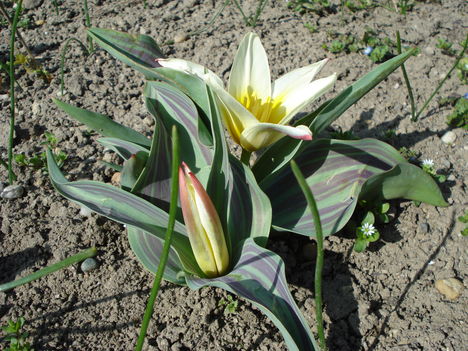 Kép 048