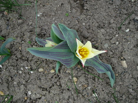 Kép 058