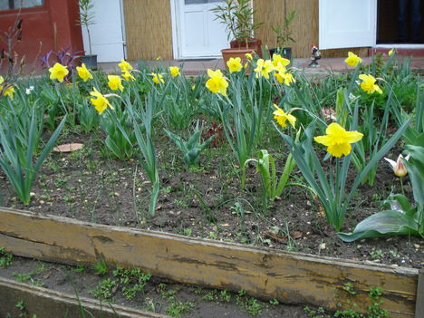 Kép 064