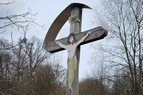 Kobbszívű