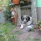 Liza es Peppino 2