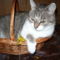 Liza es Peppino 3