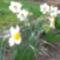 2010. 03. 29-04.05