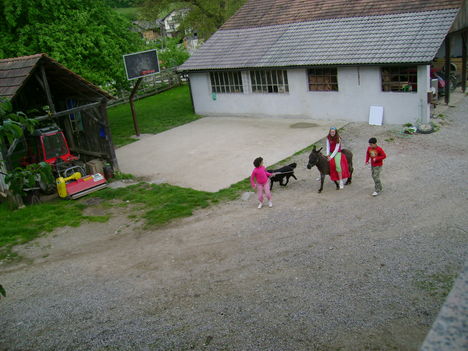DSC02739
