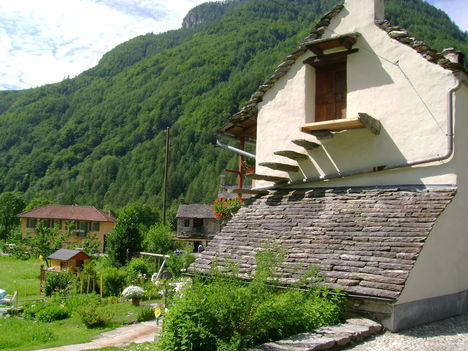 DSC02799