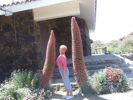 DSCF6986