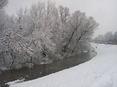 Természet, tél, 7