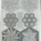 1-1590078