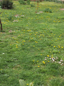 április2010 014
