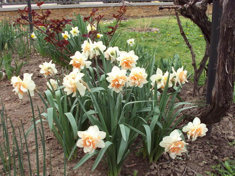 április2010 015