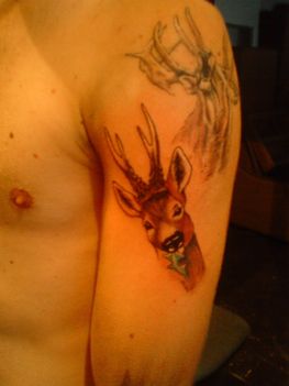DSC00196
