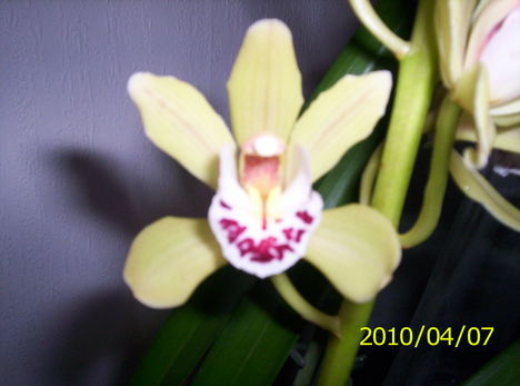 20080101 028