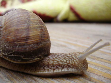 P4260013
