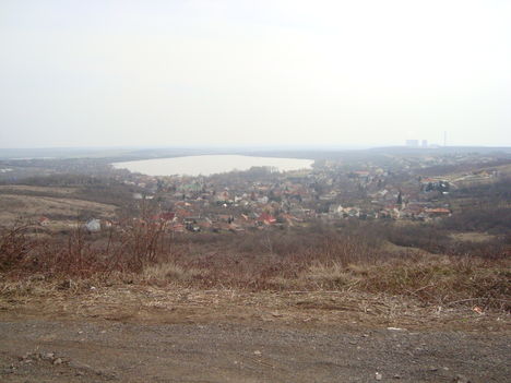 2010.03