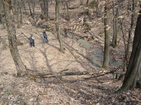 2010.03