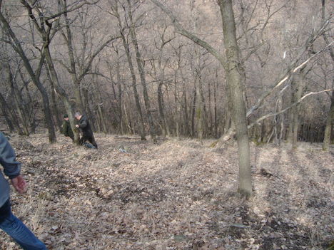 2010.03