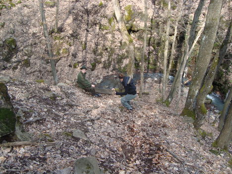 2010.03