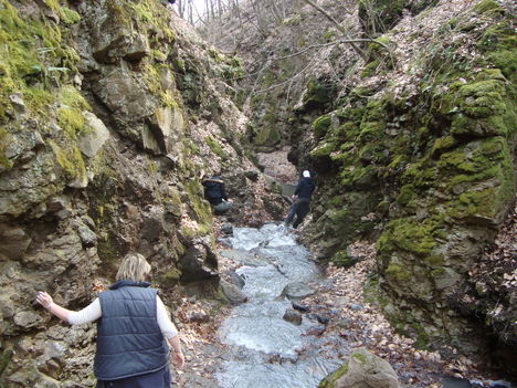 2010.03