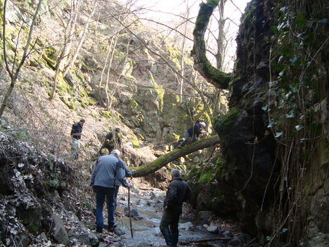2010.03