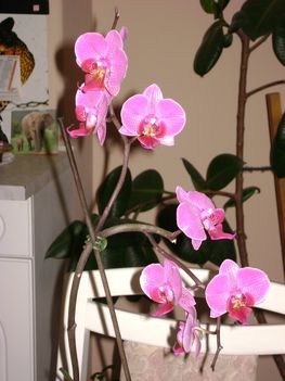 DSC09330
