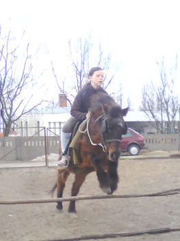 Sanyii pacómmal(L)