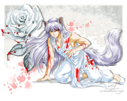 silvery fox
