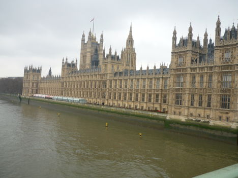 2010 1