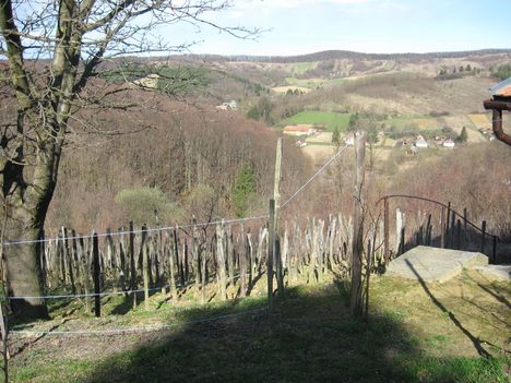 Zala_ 054_A völgyben Maróc házai