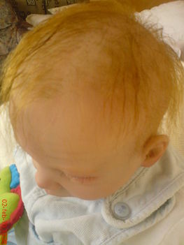 Celin