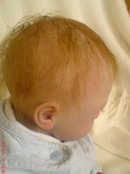 Celin