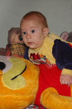 dodo